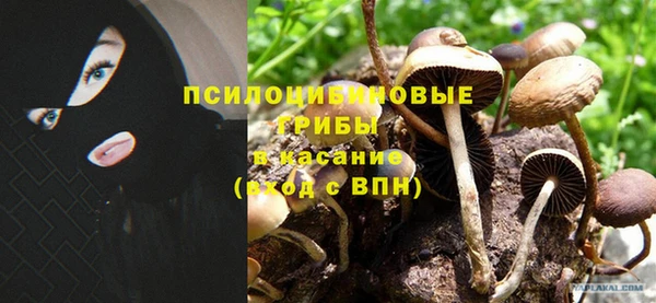 трава Бугульма