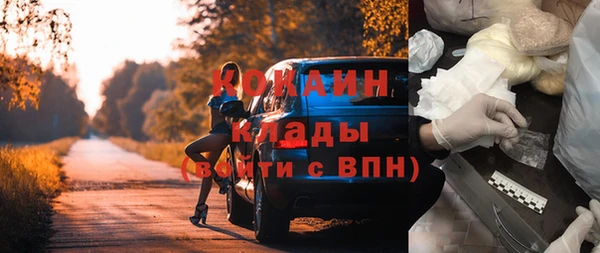 COCAINE Богородицк
