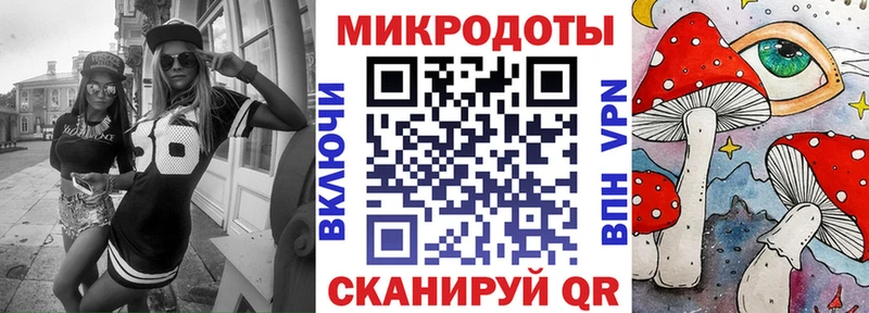 сколько стоит  MEGA как зайти  Галлюциногенные грибы Psilocybe  Томмот 